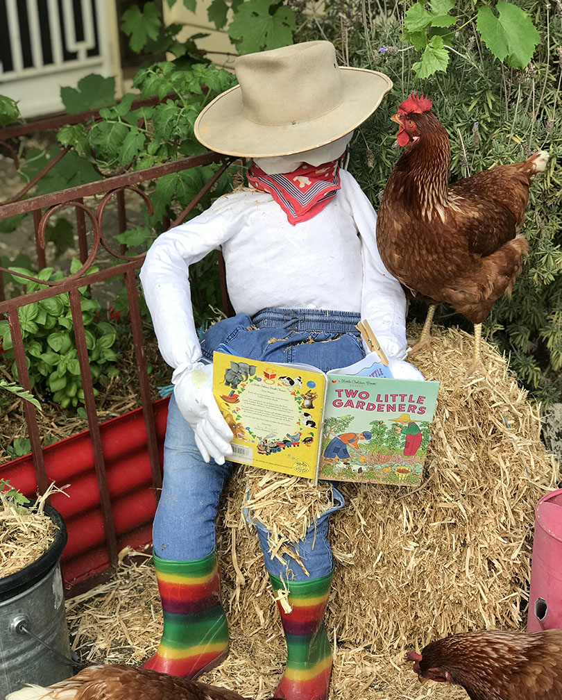 cropScarecrow storytime